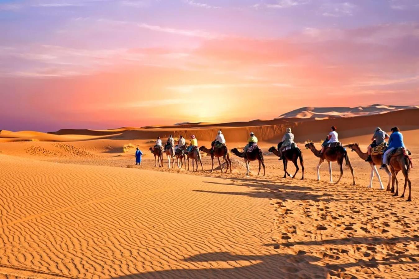 Desert Luxury Camp M'Hamid Zewnętrze zdjęcie